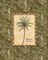 Vintage Palm II Poster Print by Charlene Audrey - Item # VARPDXAUD059